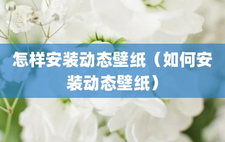 怎样安装动态壁纸（如何安装动态壁纸）