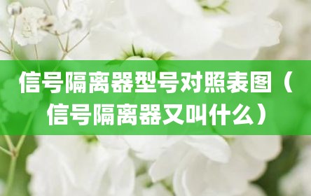 信号隔离器型号对照表图（信号隔离器又叫什么）