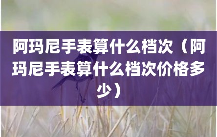 阿玛尼手表算什么档次（阿玛尼手表算什么档次价格多少）