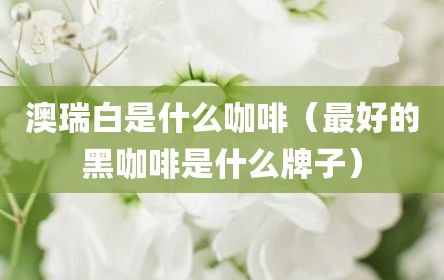 澳瑞白是什么咖啡（最好的黑咖啡是什么牌子）