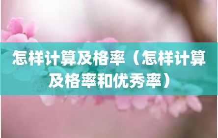 怎样计算及格率（怎样计算及格率和优秀率）
