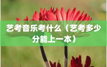 艺考音乐考什么（艺考多少分能上一本）