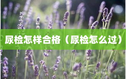尿检怎样合格（尿检怎么过）