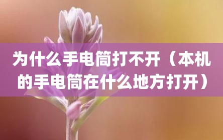 为什么手电筒打不开（本机的手电筒在什么地方打开）