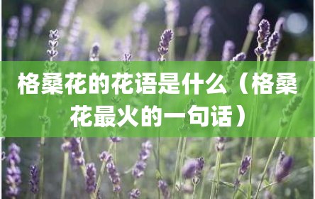 格桑花的花语是什么（格桑花最火的一句话）