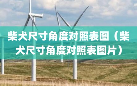 柴犬尺寸角度对照表图（柴犬尺寸角度对照表图片）