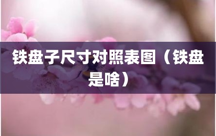 铁盘子尺寸对照表图（铁盘是啥）