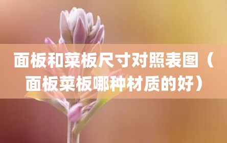 面板和菜板尺寸对照表图（面板菜板哪种材质的好）