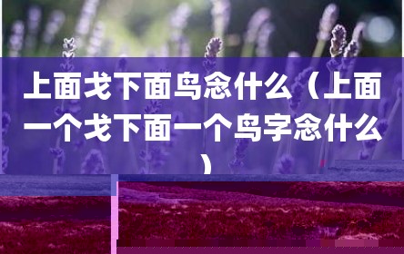 上面戈下面鸟念什么（上面一个戈下面一个鸟字念什么）