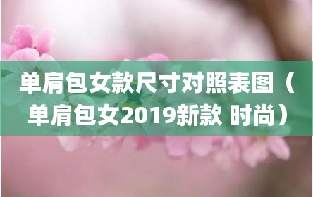 单肩包女款尺寸对照表图（单肩包女2019新款 时尚）