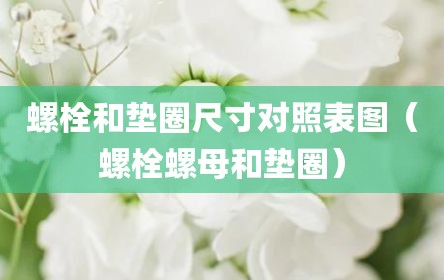 螺栓和垫圈尺寸对照表图（螺栓螺母和垫圈）