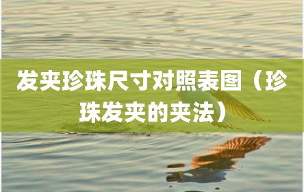 发夹珍珠尺寸对照表图（珍珠发夹的夹法）