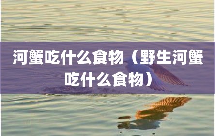 河蟹吃什么食物（野生河蟹吃什么食物）