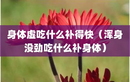 身体虚吃什么补得快（浑身没劲吃什么补身体）