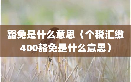 豁免是什么意思（个税汇缴400豁免是什么意思）