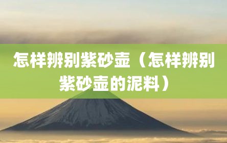 怎样辨别紫砂壶（怎样辨别紫砂壶的泥料）