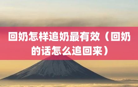 回奶怎样追奶最有效（回奶的话怎么追回来）