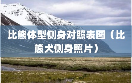 比熊体型侧身对照表图（比熊犬侧身照片）
