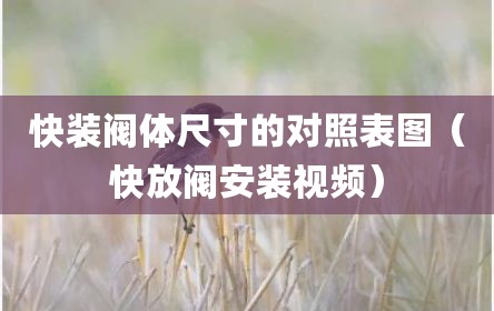 快装阀体尺寸的对照表图（快放阀安装视频）