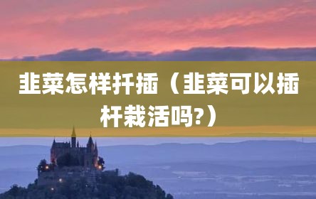 韭菜怎样扦插（韭菜可以插杆栽活吗?）