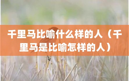 千里马比喻什么样的人（千里马是比喻怎样的人）