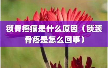 锁骨疼痛是什么原因（锁颈骨疼是怎么回事）