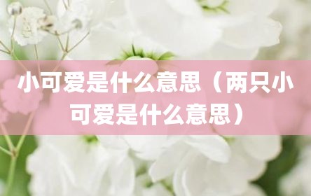 小可爱是什么意思（两只小可爱是什么意思）