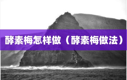 酵素梅怎样做（酵素梅做法）