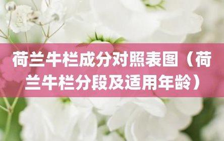 荷兰牛栏成分对照表图（荷兰牛栏分段及适用年龄）