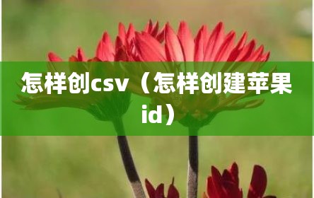 怎样创csv（怎样创建苹果id）