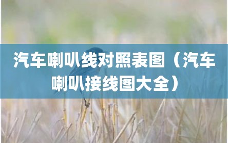 汽车喇叭线对照表图（汽车喇叭接线图大全）