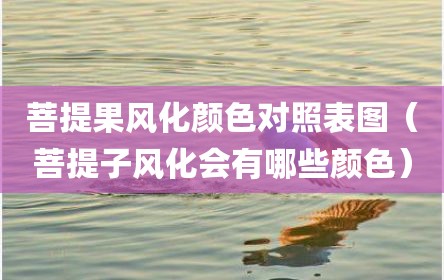菩提果风化颜色对照表图（菩提子风化会有哪些颜色）