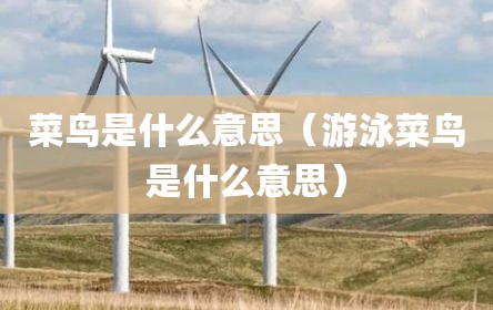 菜鸟是什么意思（游泳菜鸟是什么意思）