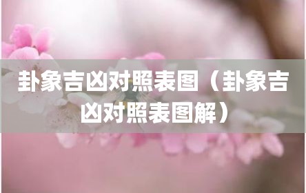 卦象吉凶对照表图（卦象吉凶对照表图解）