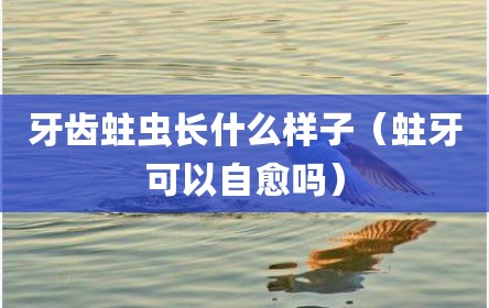 牙齿蛀虫长什么样子（蛀牙可以自愈吗）