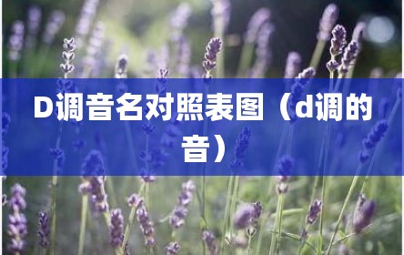 D调音名对照表图（d调的音）