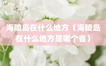 海陵岛在什么地方（海陵岛在什么地方是哪个省）