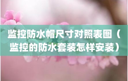 监控防水帽尺寸对照表图（监控的防水套装怎样安装）