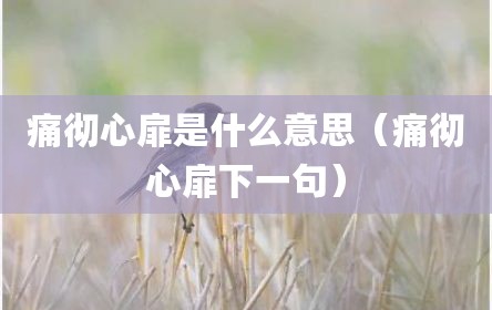 痛彻心扉是什么意思（痛彻心扉下一句）