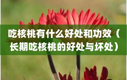 吃核桃有什么好处和功效（长期吃核桃的好处与坏处）