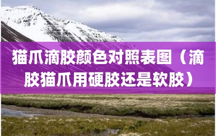 猫爪滴胶颜色对照表图（滴胶猫爪用硬胶还是软胶）