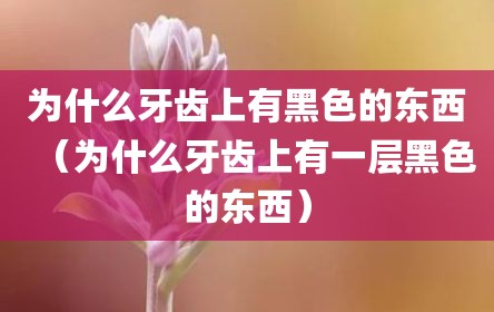 为什么牙齿上有黑色的东西（为什么牙齿上有一层黑色的东西）