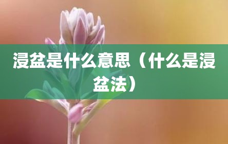 浸盆是什么意思（什么是浸盆法）