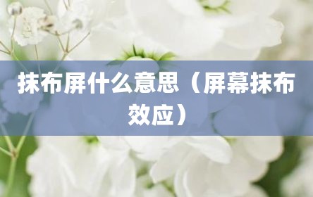 抹布屏什么意思（屏幕抹布效应）