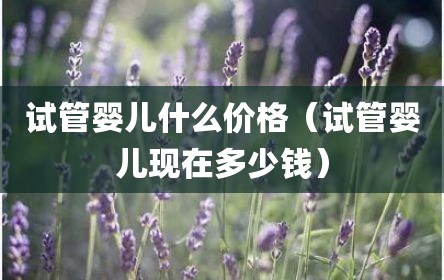试管婴儿什么价格（试管婴儿现在多少钱）