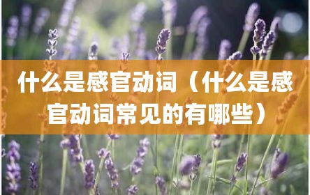 什么是感官动词（什么是感官动词常见的有哪些）
