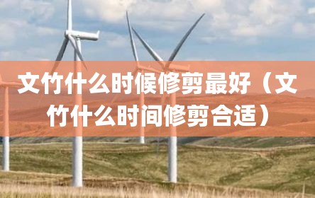 文竹什么时候修剪最好（文竹什么时间修剪合适）