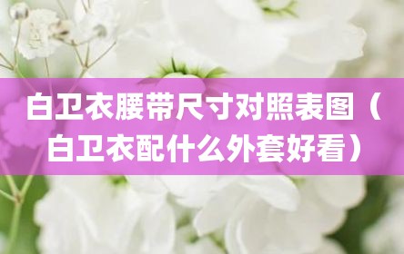 白卫衣腰带尺寸对照表图（白卫衣配什么外套好看）