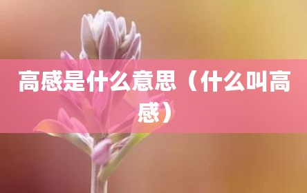 高感是什么意思（什么叫高感）