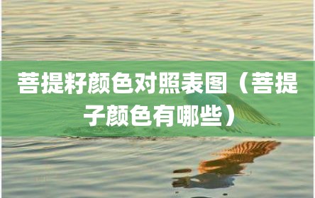 菩提籽颜色对照表图（菩提子颜色有哪些）